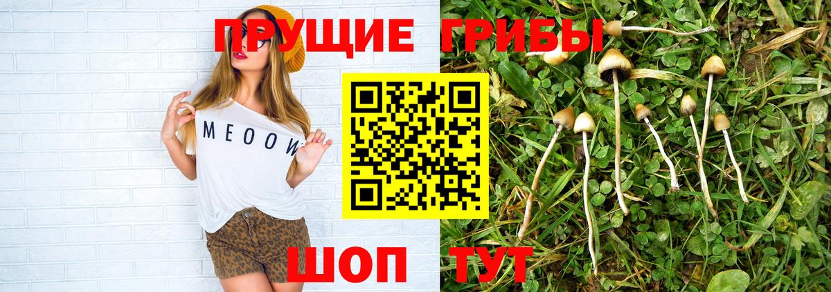 Галлюциногенные грибы Magic Shrooms Серпухов