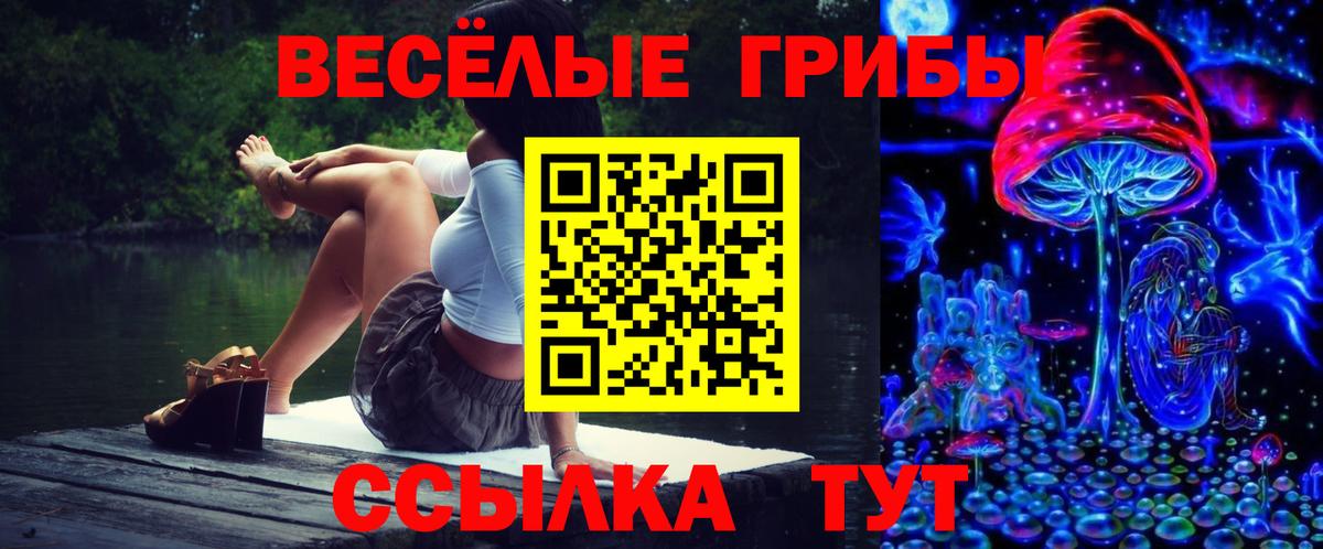 хочу   Вход с VPN  Серпухов  Галлюциногенные грибы мухоморы 